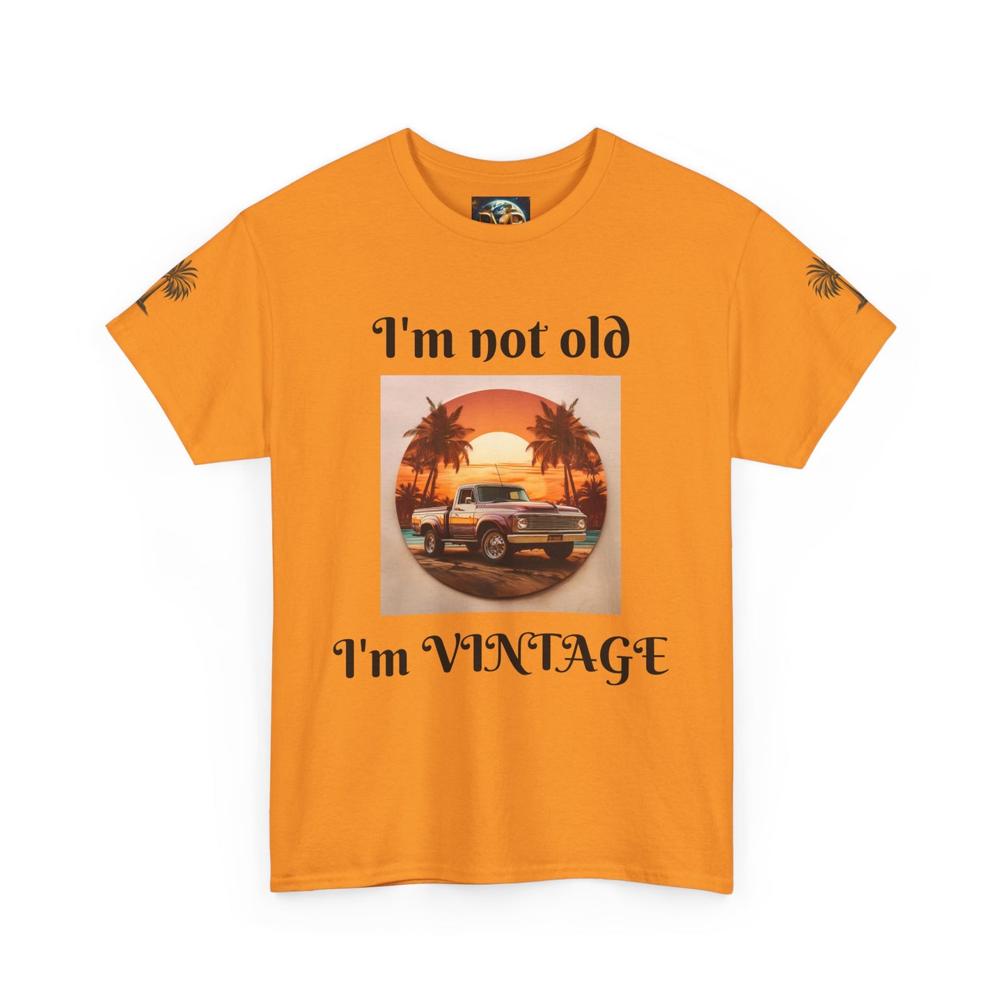 Vintage Vibes Unisex Heavy Cotton Tee - I'm Not Old, I'm VINTAGE