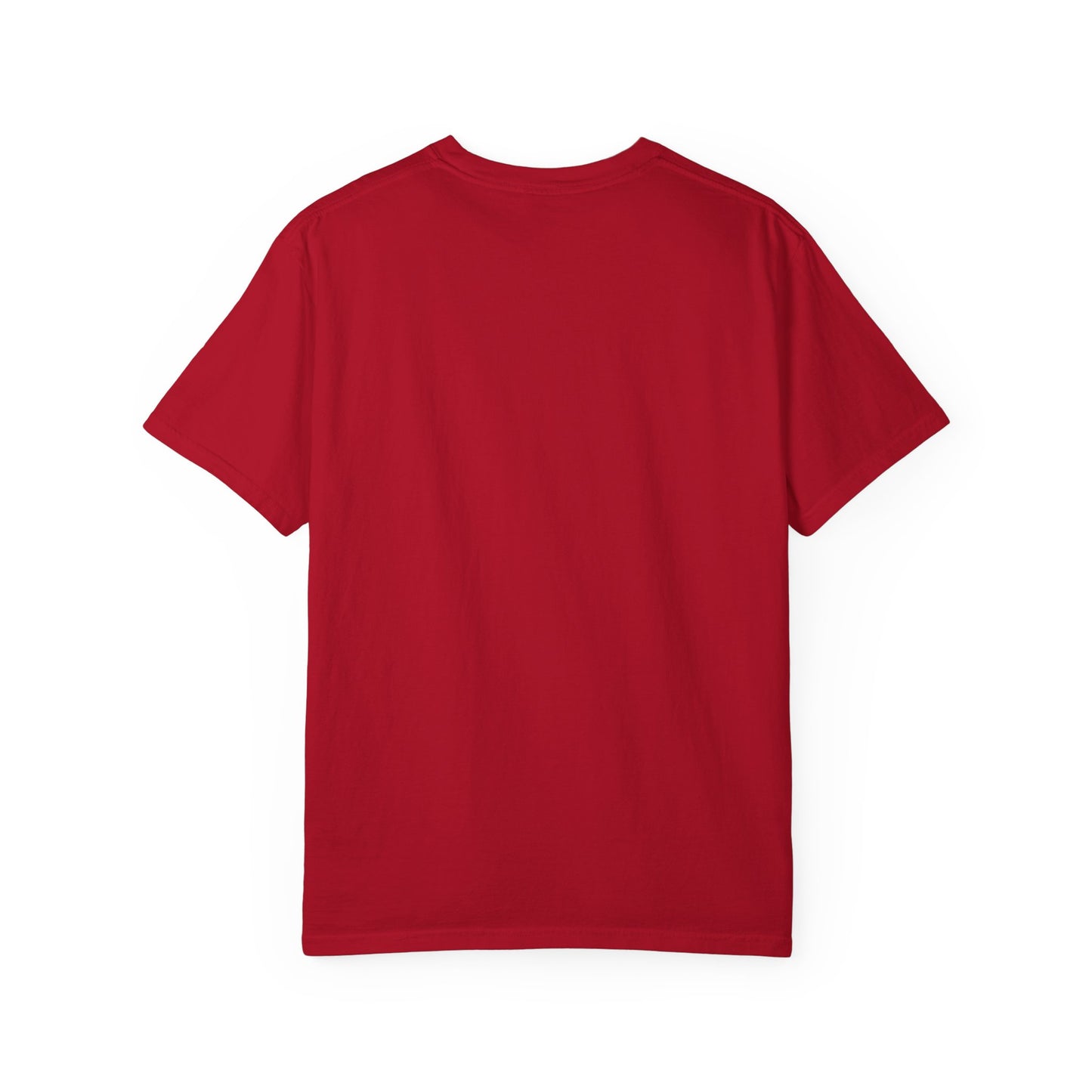 USA Means Business! Unisex Garment-Dyed Tee for Independence Day