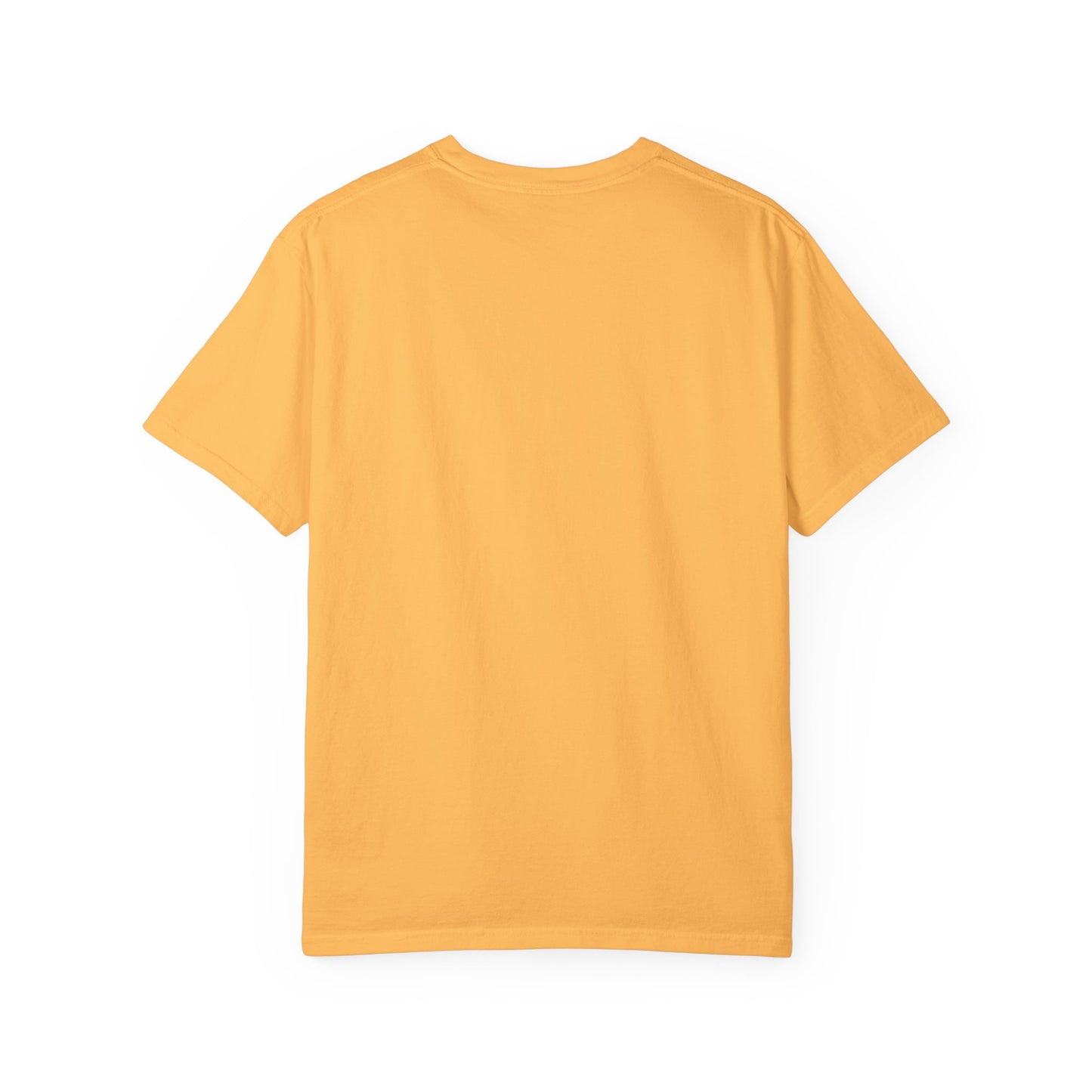 USA Means Business! Unisex Garment-Dyed Tee for Independence Day