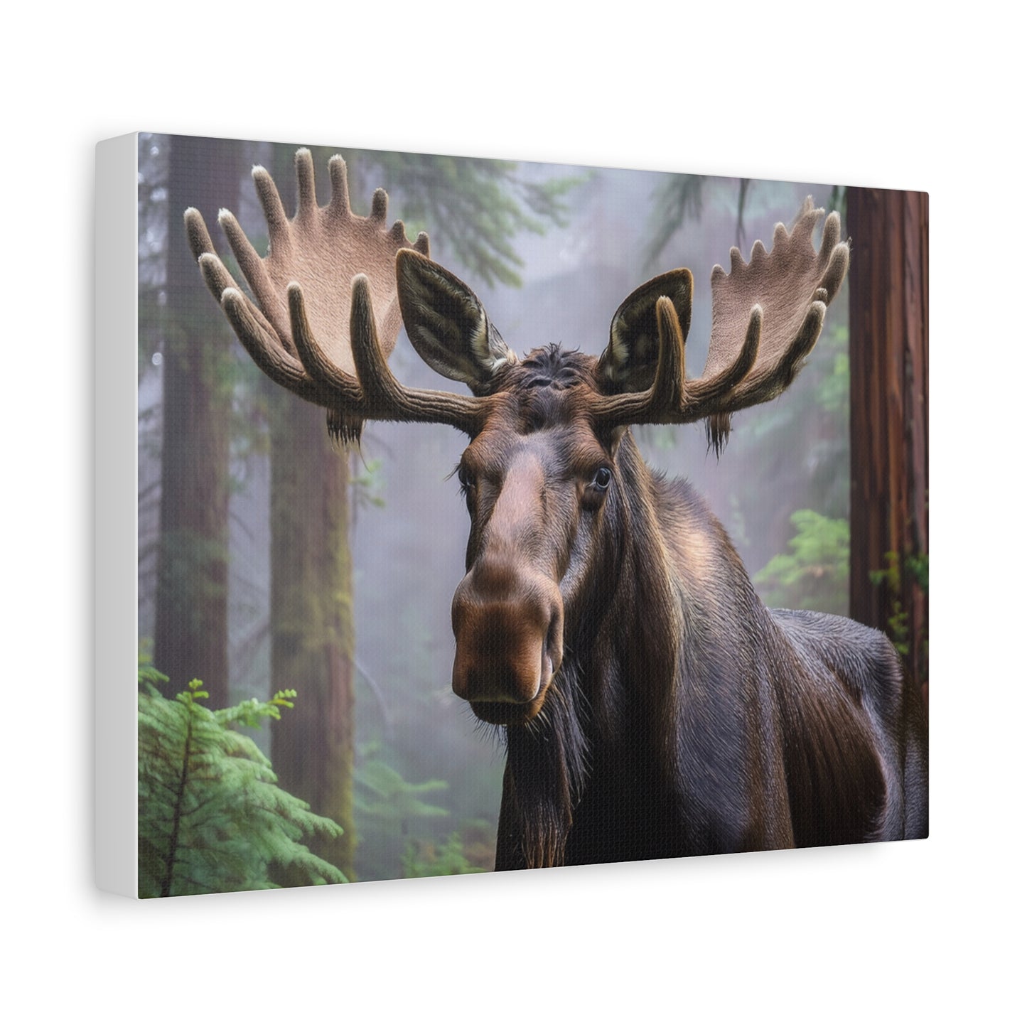 Majestic Moose Canvas Print - Nature Wall Art for Wildlife Lovers