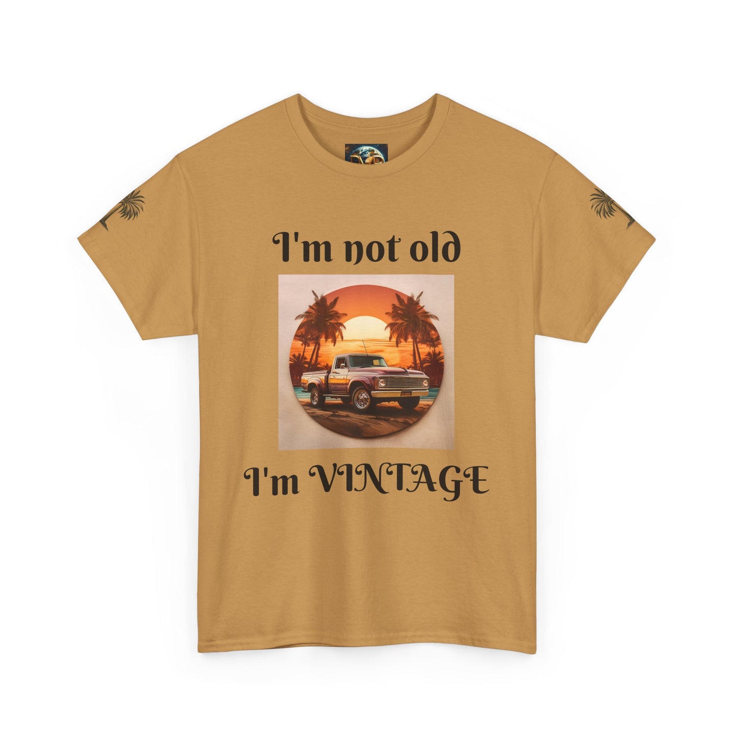 Vintage Vibes Unisex Heavy Cotton Tee - I'm Not Old, I'm VINTAGE