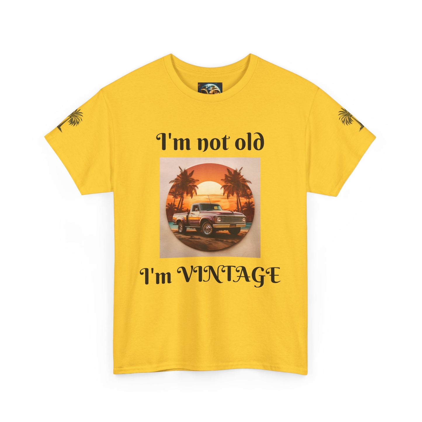 Vintage Vibes Unisex Heavy Cotton Tee - I'm Not Old, I'm VINTAGE