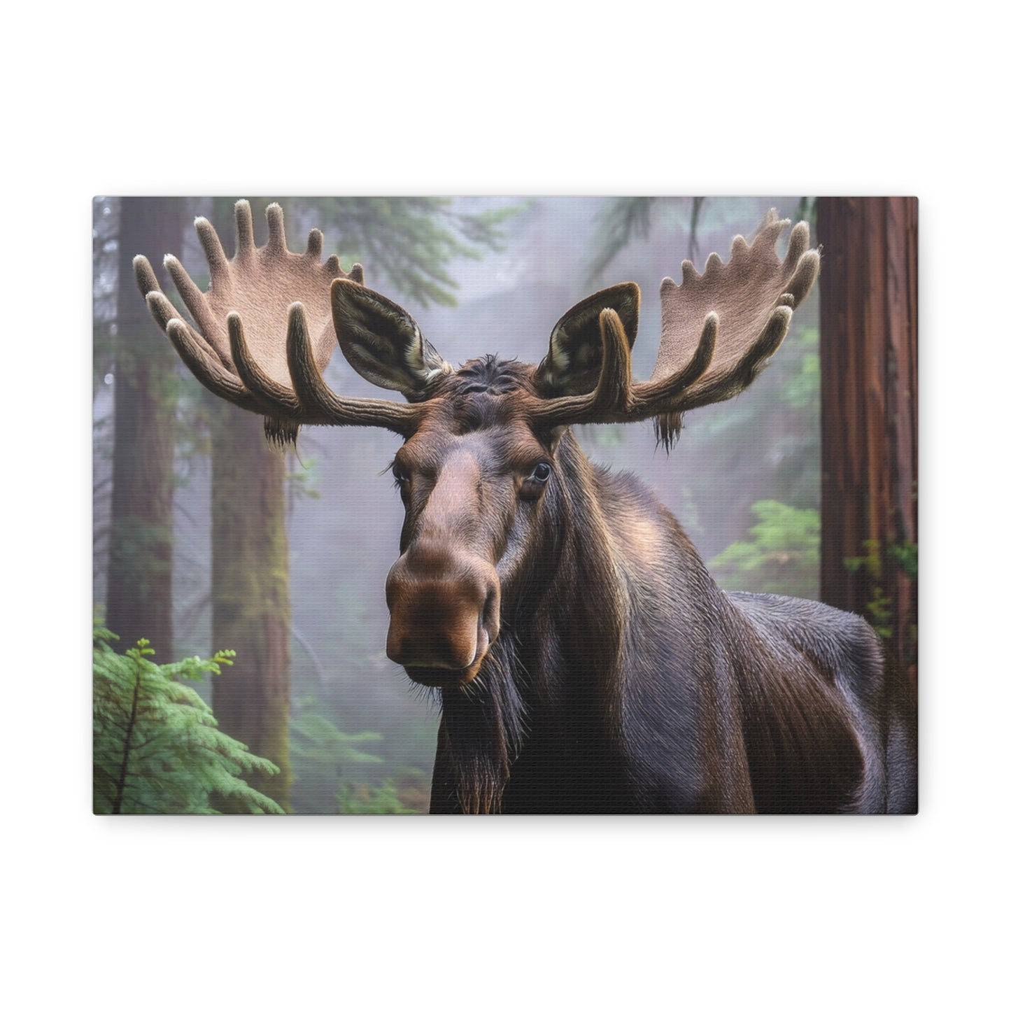 Majestic Moose Canvas Print - Nature Wall Art for Wildlife Lovers